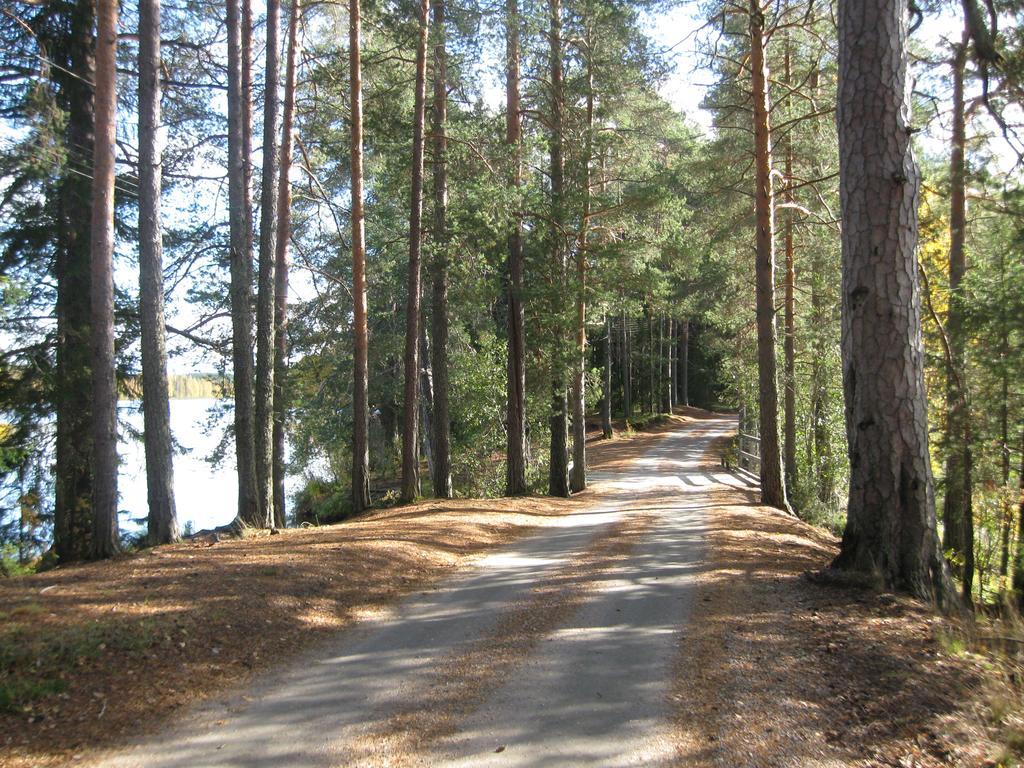 Toppala Cottages Petäjävesi Dış mekan fotoğraf